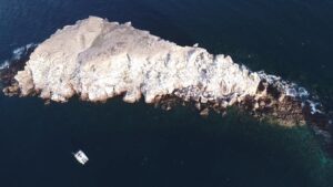 Mar de Cortés   Baja by Sea La Paz Catamaran charters